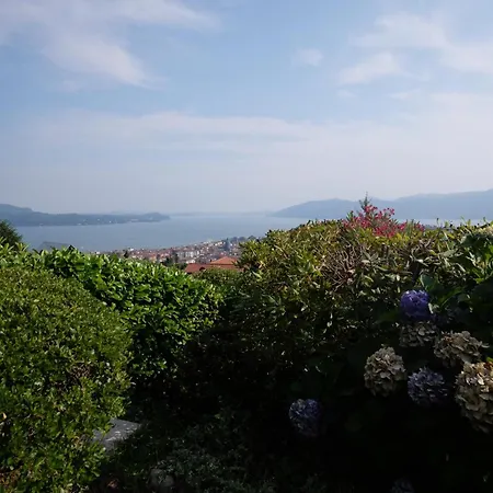 Cielo D'italia Stella *
